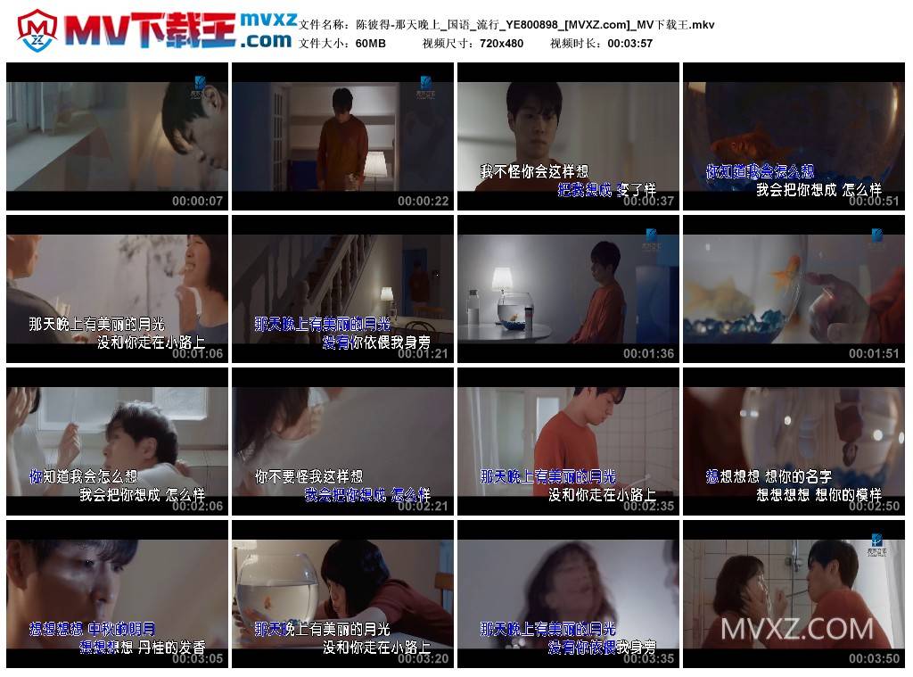 陈彼得-那天晚上_国语_流行_YE800898